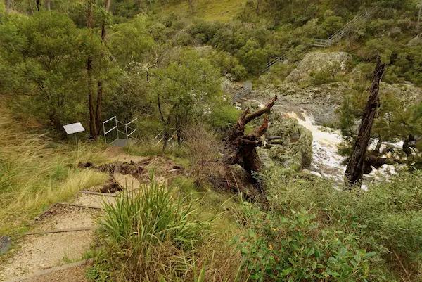 Wollomombi Falls (33)